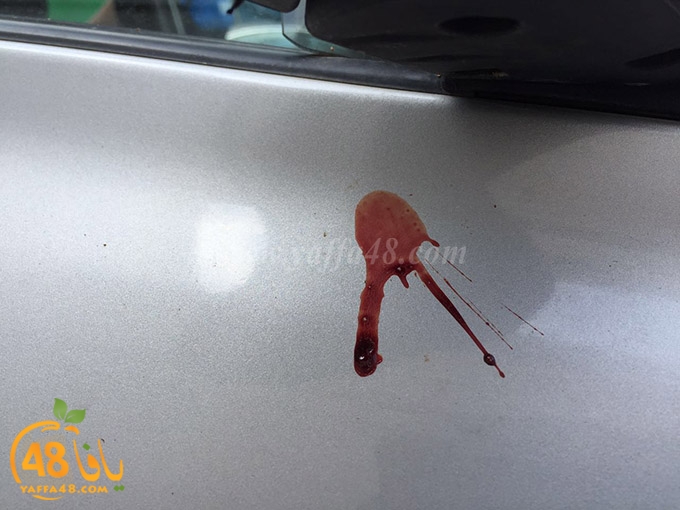 ta3n shamela (5).jpg